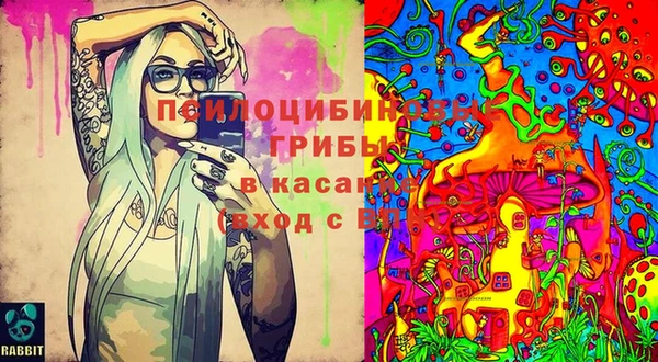 Альфа ПВП Козельск