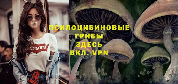 Альфа ПВП Козельск