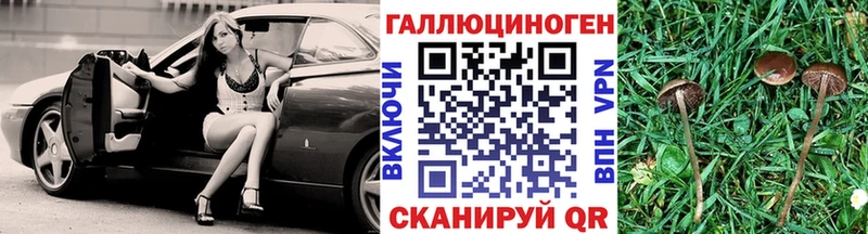 Псилоцибиновые грибы Psilocybine cubensis Купить закладки Миньяр